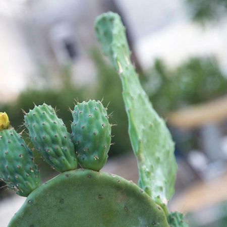 Il Giardino Delle Margherite Лечче Экстерьер фото