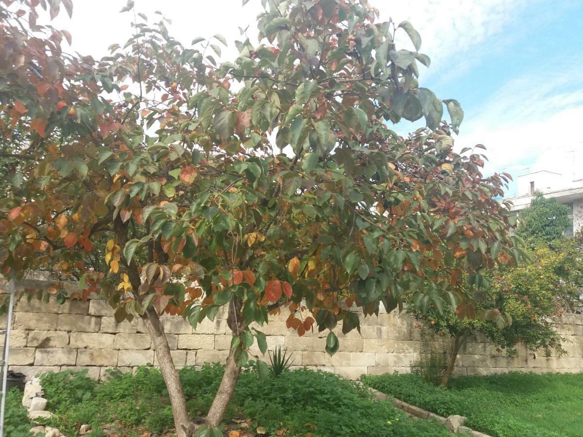Il Giardino Delle Margherite Лечче Экстерьер фото